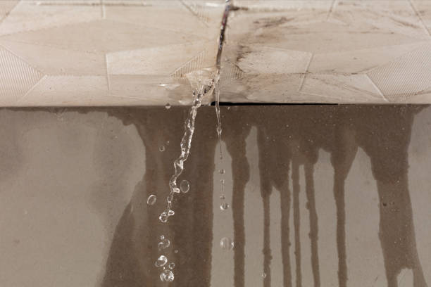 Professional Structural Drying technician working in Mamaroneck, NY